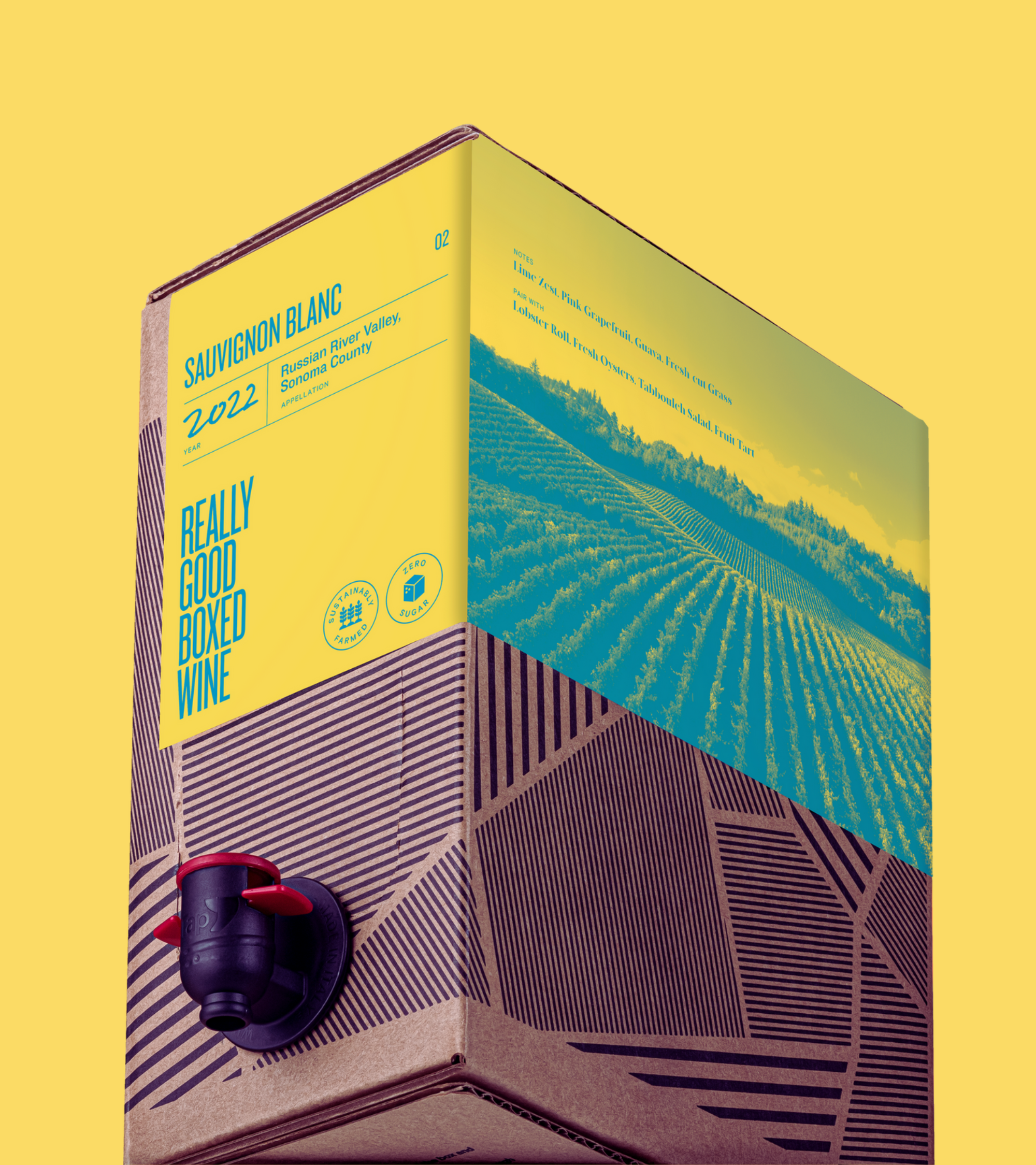 Boxed sauvignon hot sale blanc